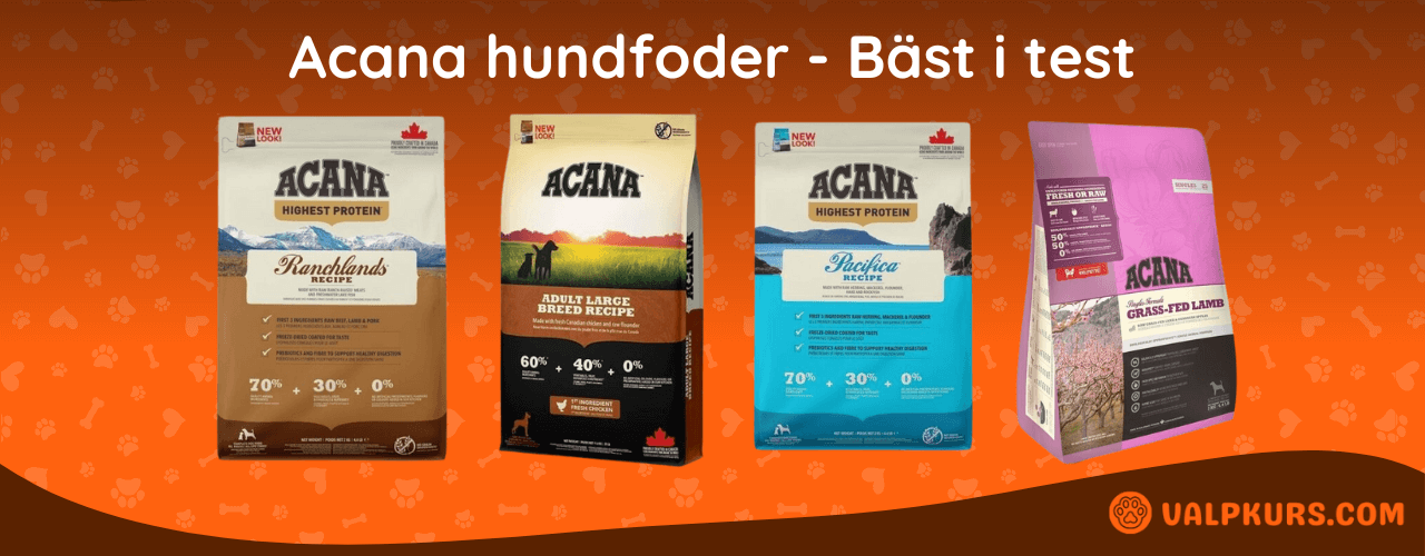 Acana hundfoder Bäst i test