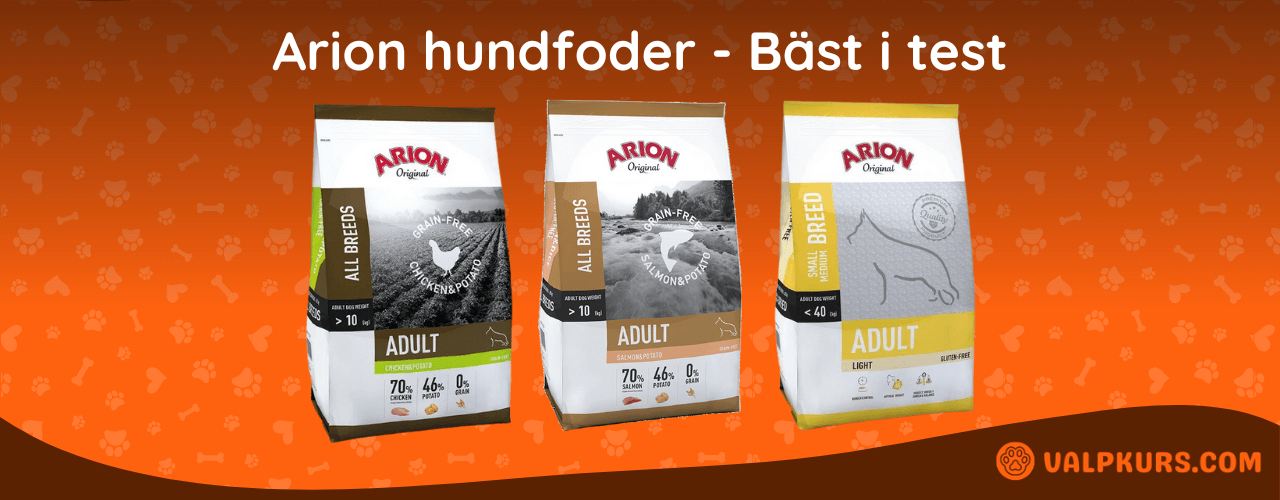 Arion hundfoder Bäst i test