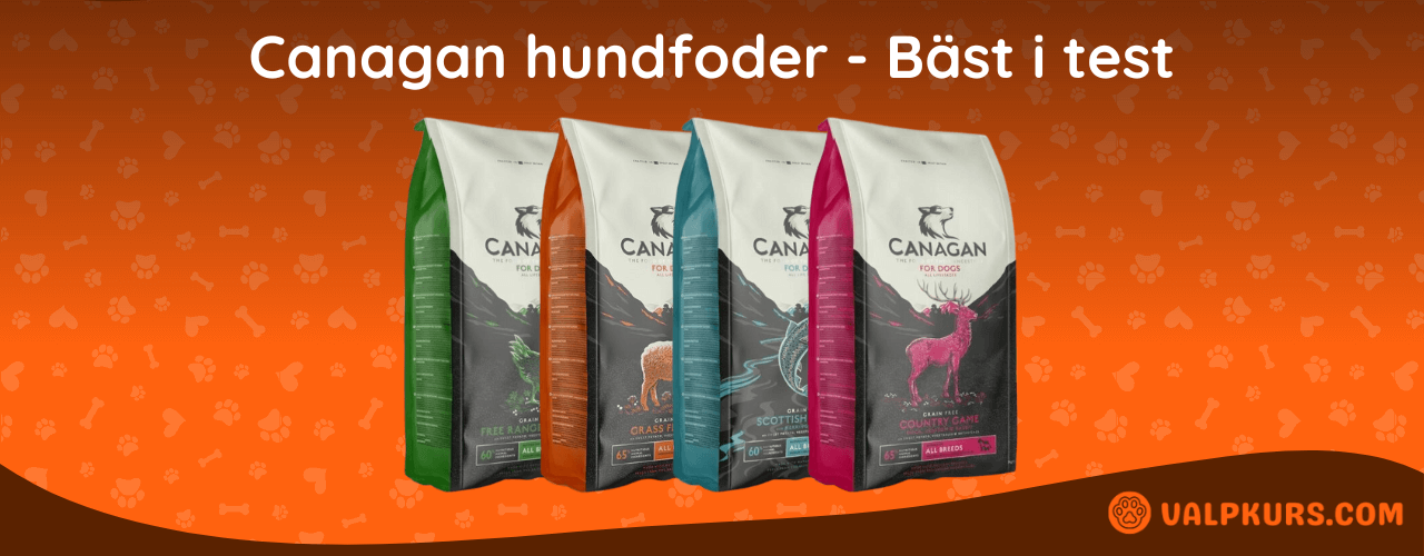 Canagan hundfoder Bäst i test