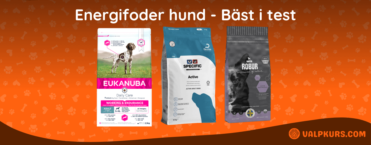 Energifoder hund Bäst i test