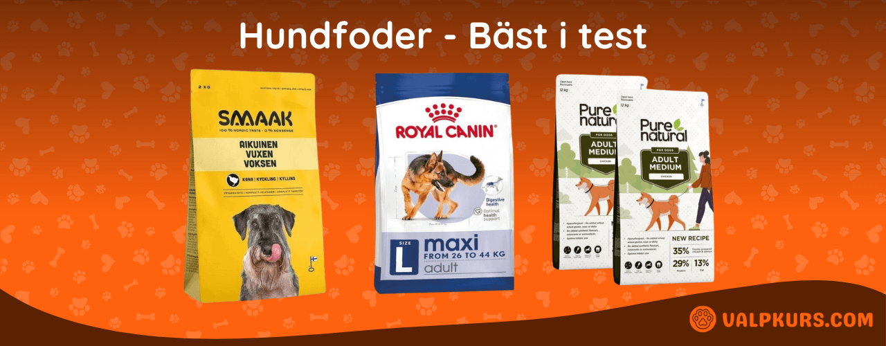 Hundfoder Bäst i test