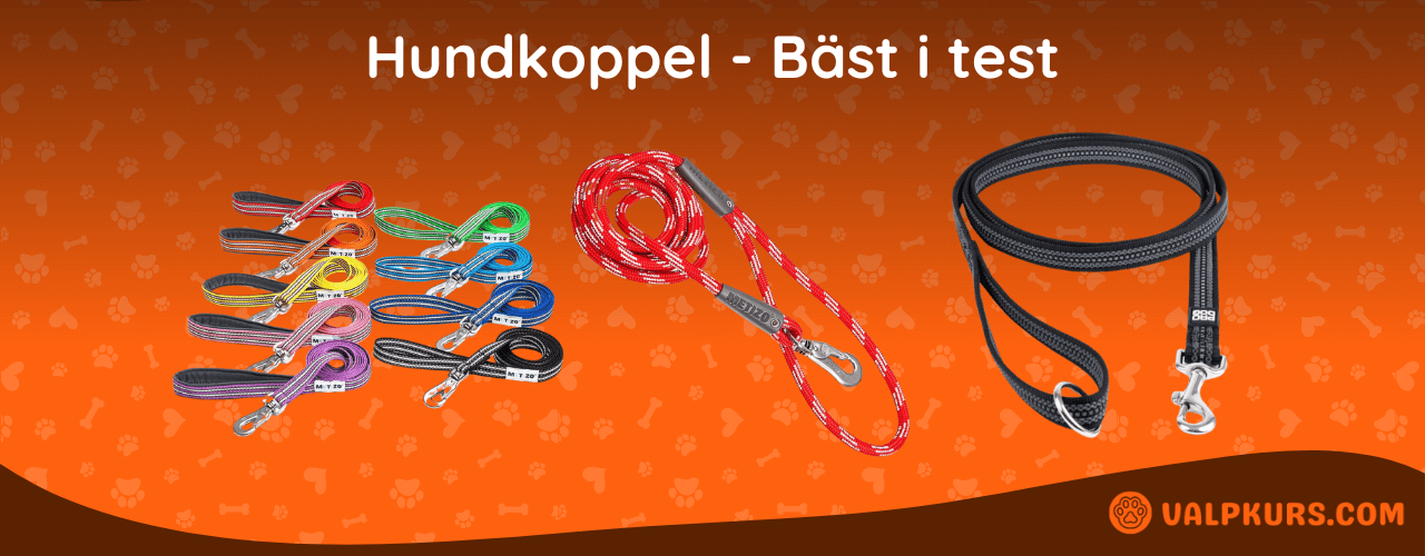 Hundkoppel Bäst i test