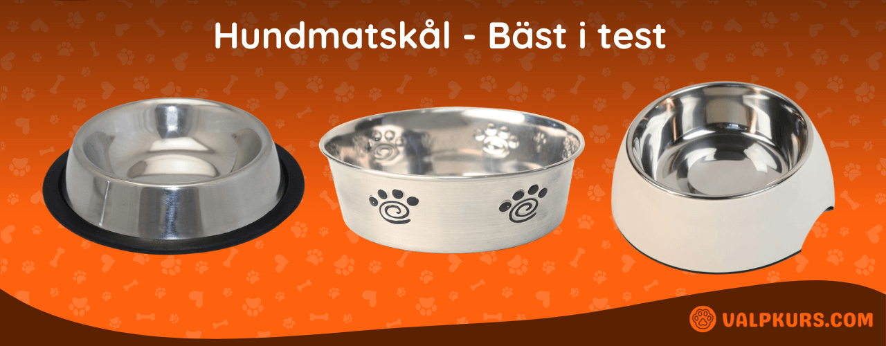 Hundmatskål Bäst i test