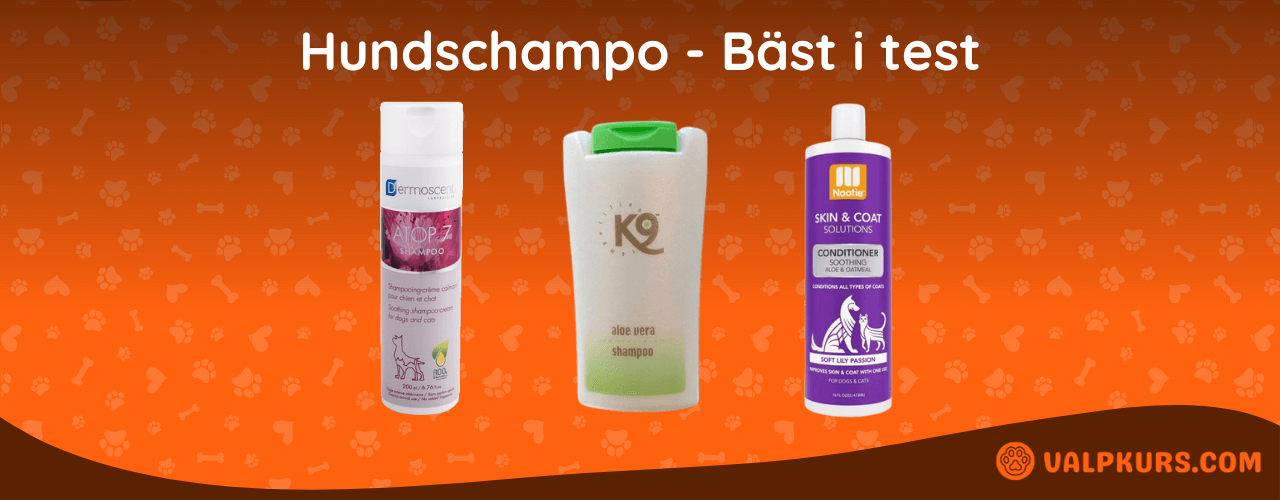 Hundschampo Bäst i test