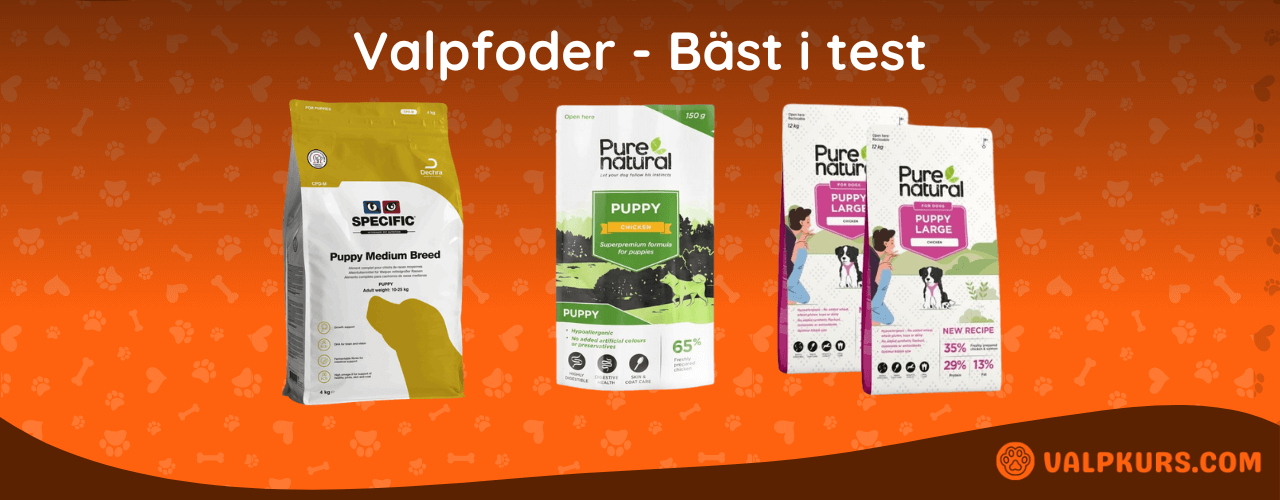 Valpfoder Bäst i test