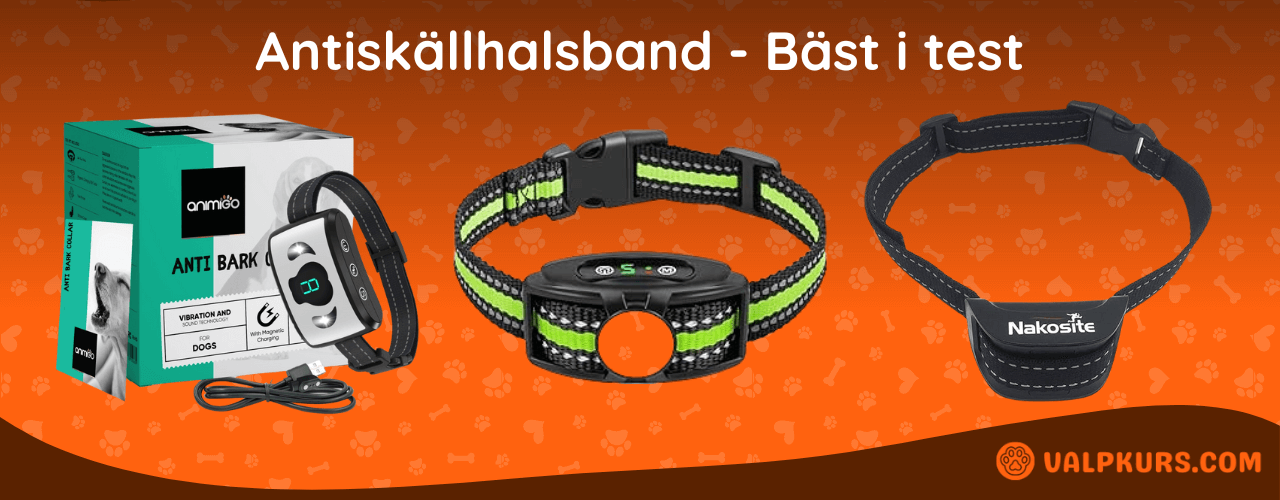 Antiskällhalsband Bäst i test