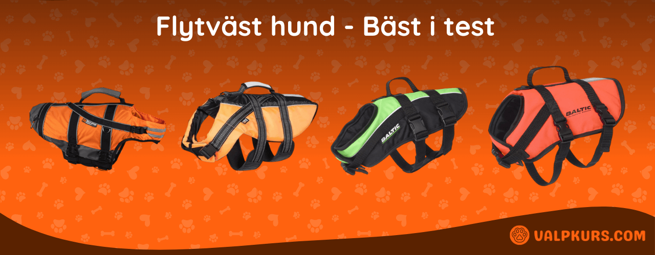 Flytväst hund Bäst i test