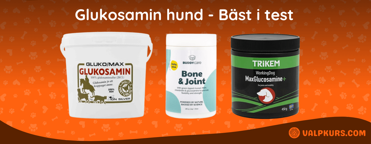 Glukosamin hund Bäst i test