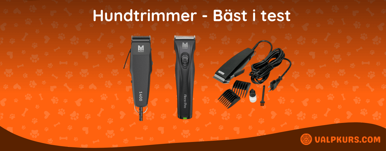 Hundtrimmer Bäst i test