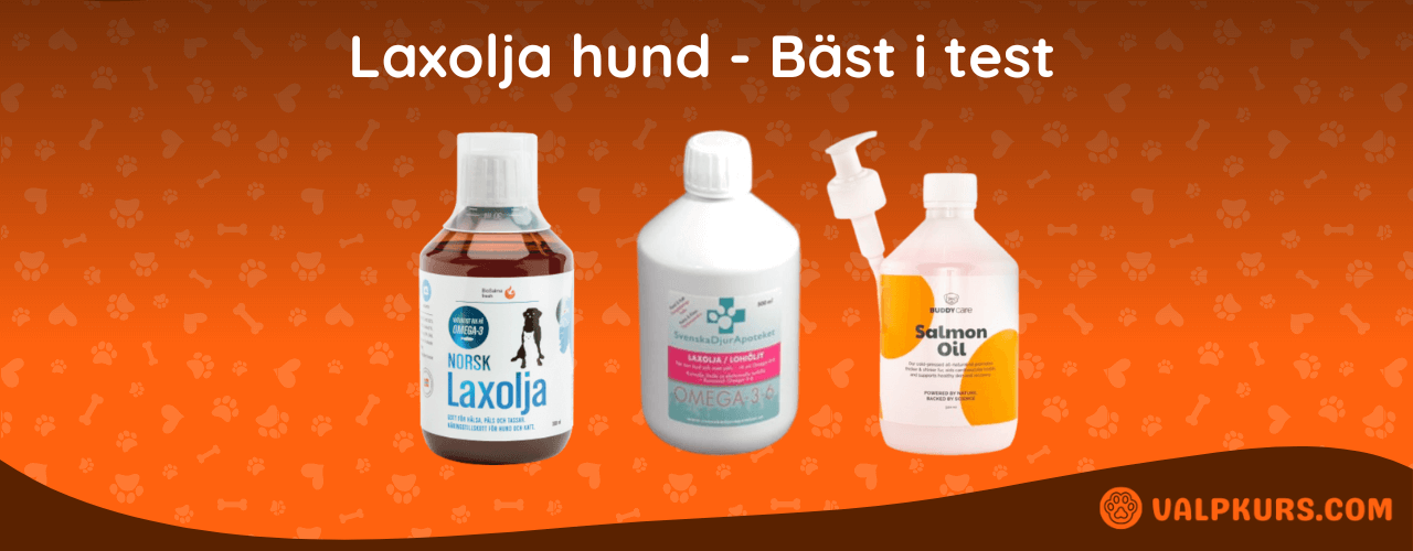 Laxolja hund Bäst i test