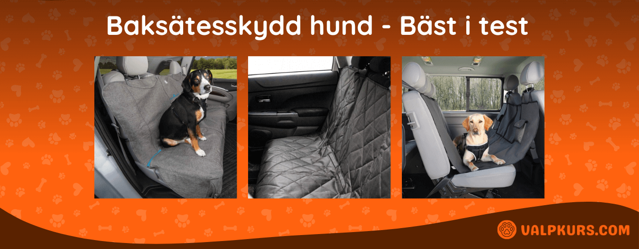 Baksätesskydd hund Bäst i test