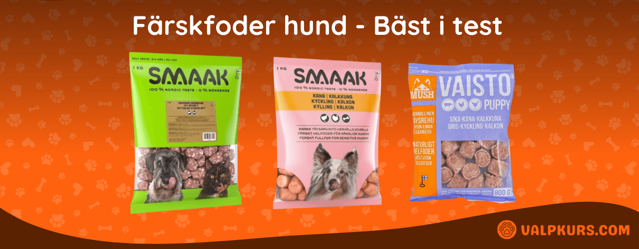 Färskfoder hund Bäst i test