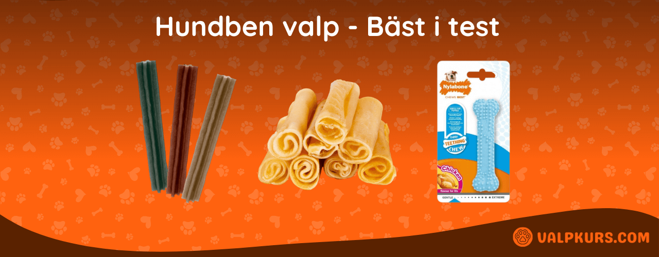 Hundben valp Bäst i test