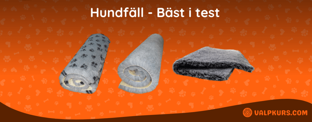 Hundfäll Bäst i test