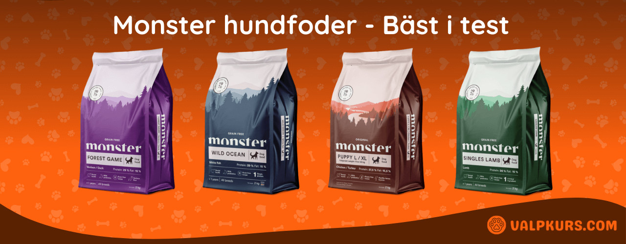 Monster hundfoder Bäst i test