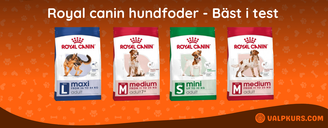 Royal canin hundfoder Bäst i test