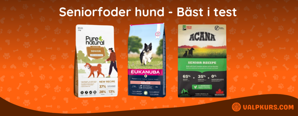 Seniorfoder hund Bäst i test