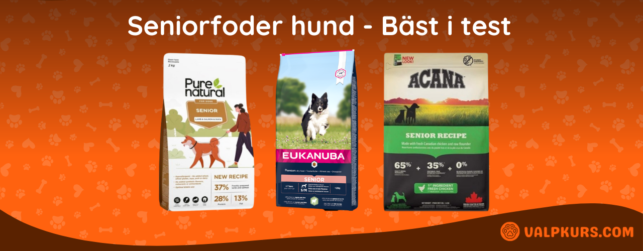 Seniorfoder hund Bäst i test