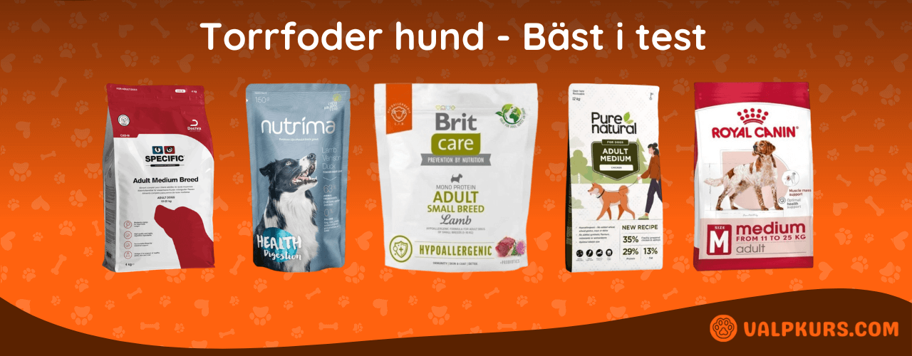 Torrfoder hund Bäst i test