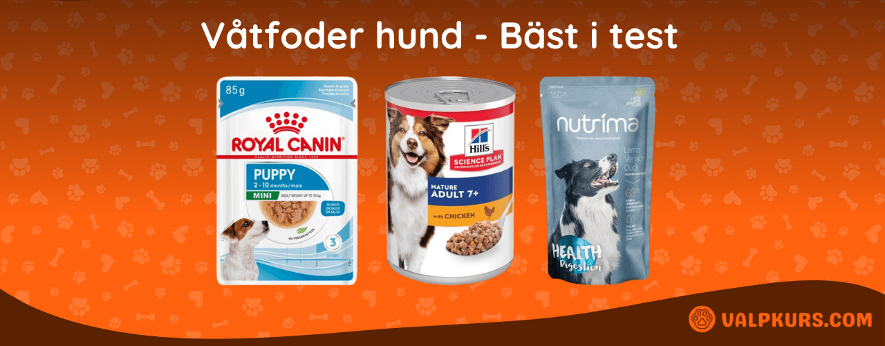 Våtfoder hund Bäst i test