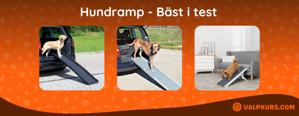 Hundramp Bäst i test