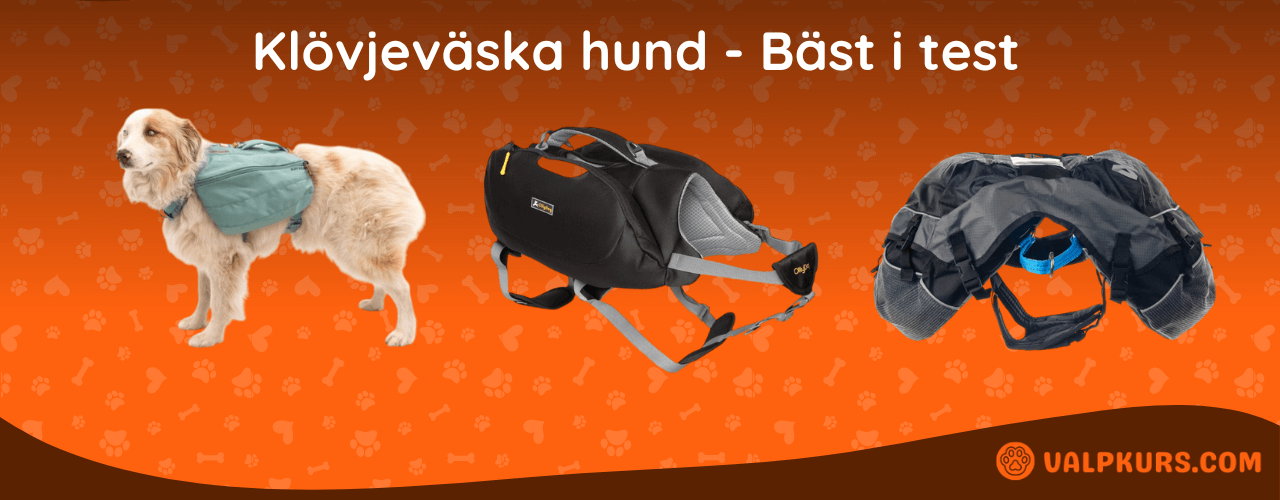 Klövjeväska hund Bäst i test