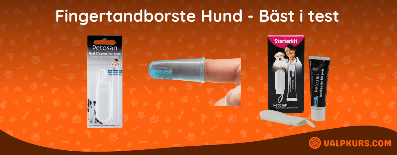 Fingertandborste Hund - Bäst i test