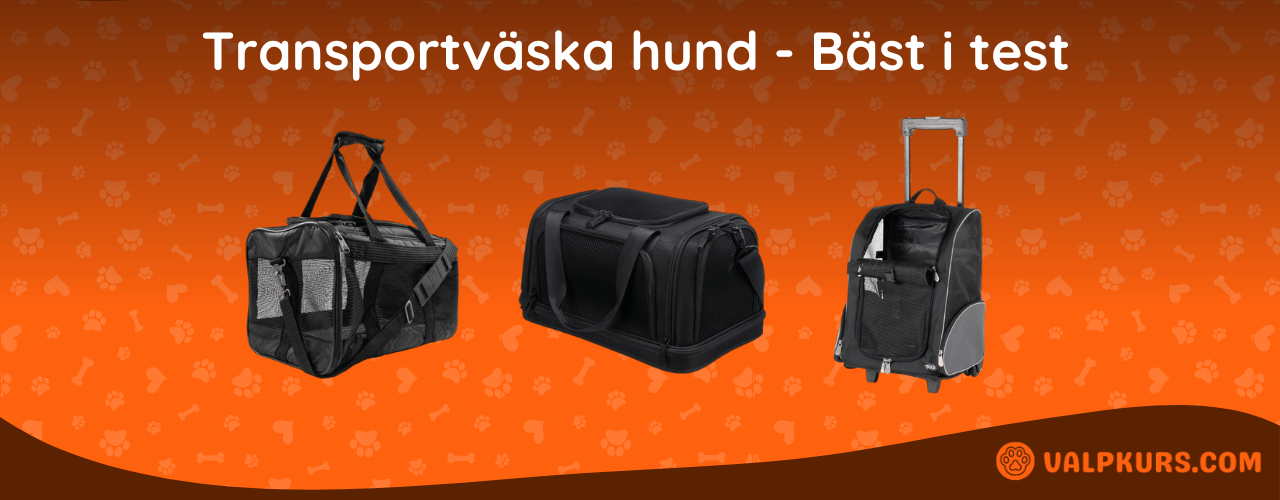 Transportväska hund Bäst i test