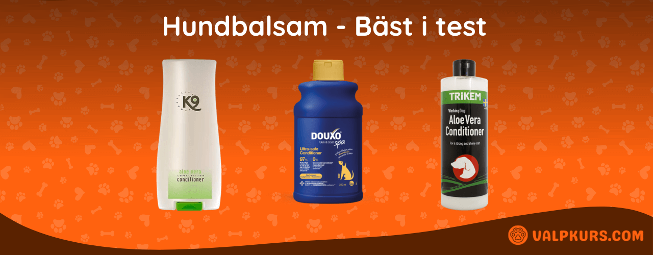 Hundbalsam Bäst i test