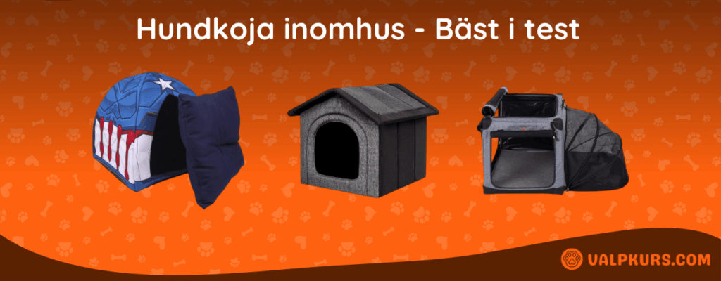 Hundkoja inomhus Bäst i test