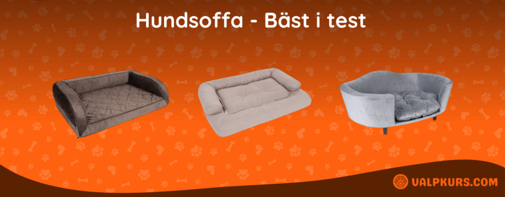 Hundsoffa Bäst i test