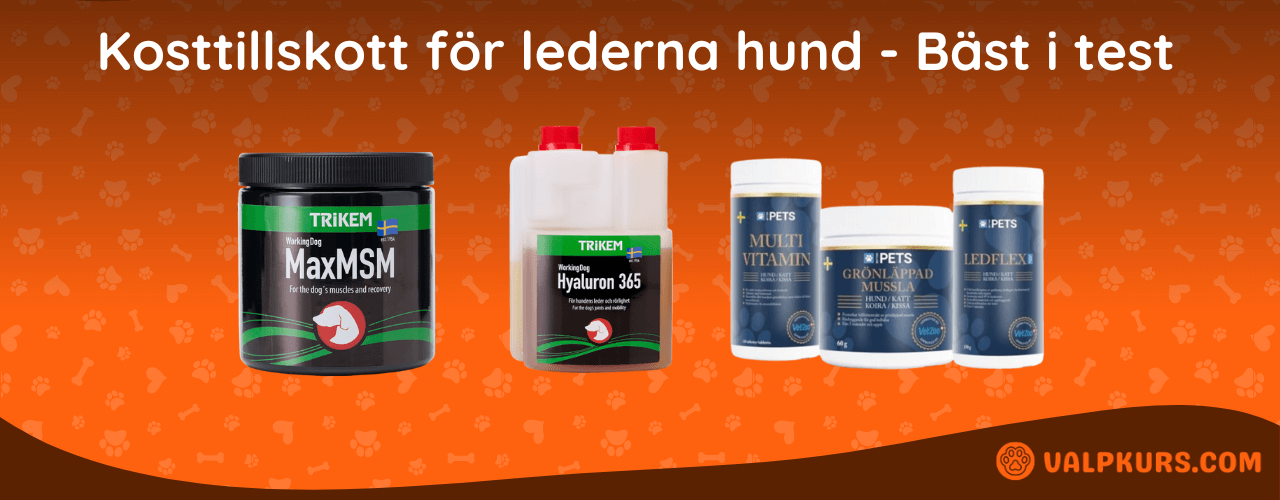 Kosttillskott för lederna hund Bäst i test