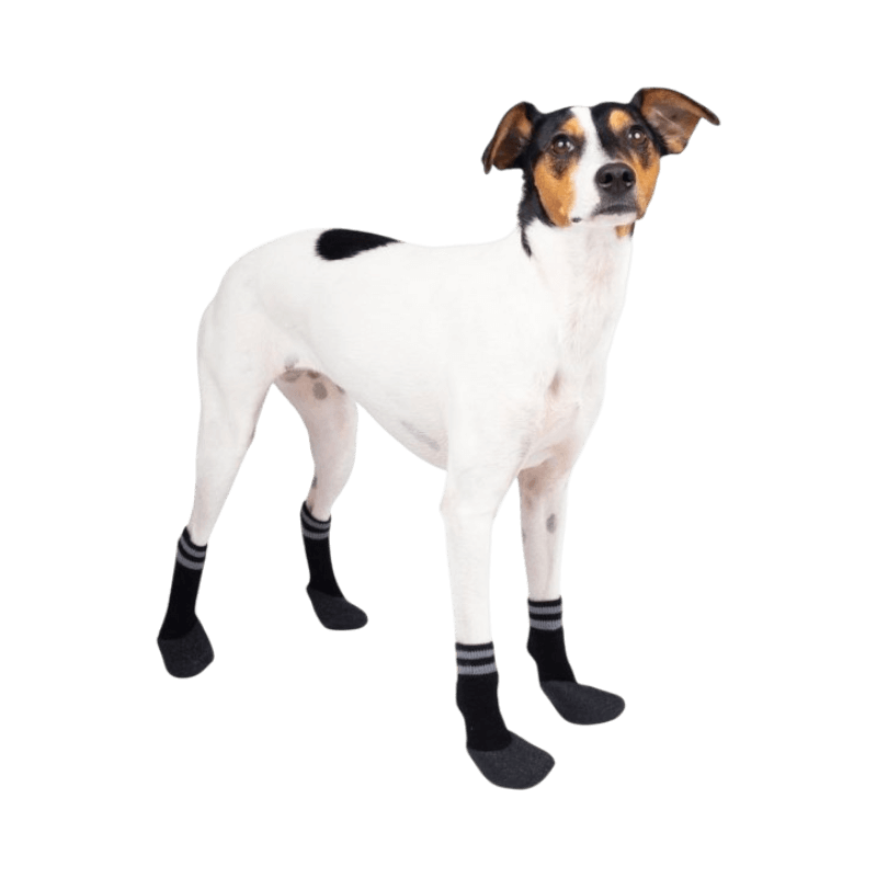 Svarta halkfria hundstrumpor från Basic Paws – skyddar tassar och golv, 4-pack.