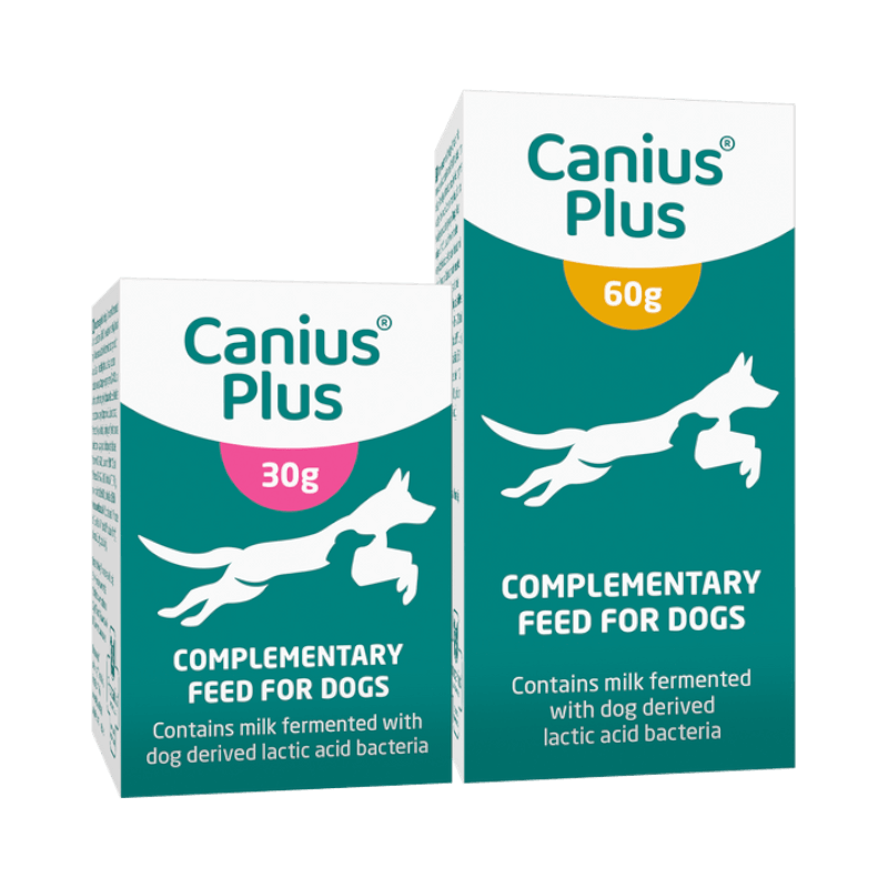 Canius Plus probiotika för hundar med mjölksyrabakterier, finns i förpackningar om 30 g och 60 g.
