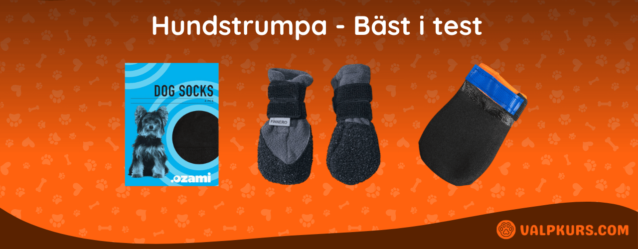 Hundstrumpa Bäst i test