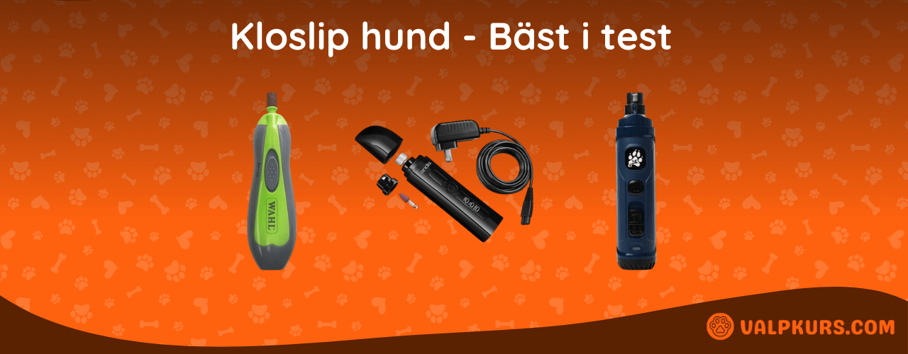 Kloslip hund Bäst i test