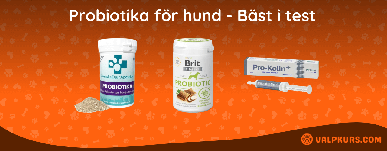 Probiotika för hund Bäst i test