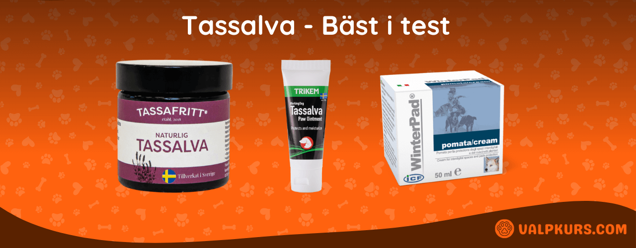 Tassalva Bäst i test