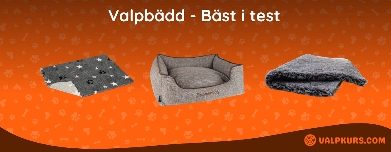 Valpbädd Bäst i test