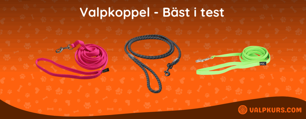 Valpkoppel Bäst i test
