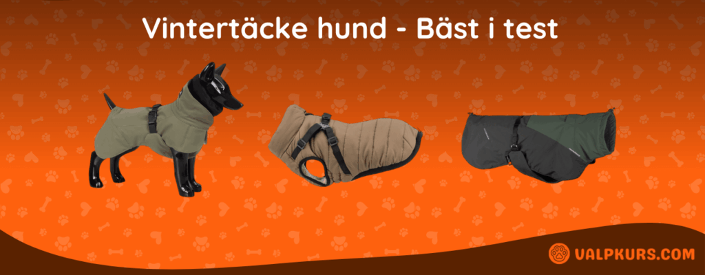 Vintertäcke hund Bäst i test