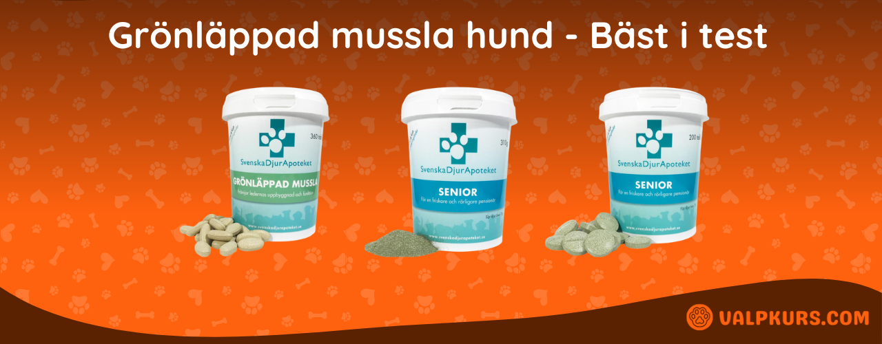 Grönläppad mussla hund Bäst i test