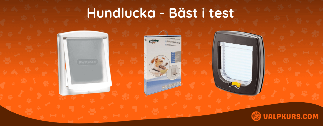 Hundlucka Bäst i test