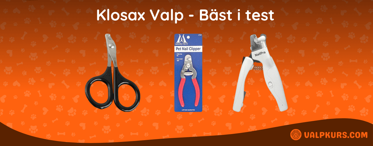 Klosax Valp Bäst i test