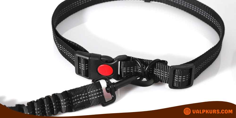 Svart handsfree midjebälte för hundpromenad med reflex, justerbart för bekväm och säker användning.