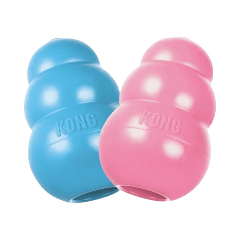 KONG Puppy tuggleksaker i rosa och blått, klassisk valpleksak som kan fyllas med godis.