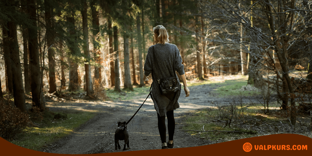 Kvinna promenerar med hund i skogen, kopplad med praktiskt midjebälte för handsfree-kontroll.