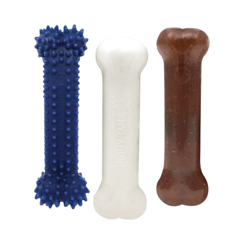 Nylabone Puppy startpaket med tre benformade leksaker för tuggmotstånd, smak och munhygien.