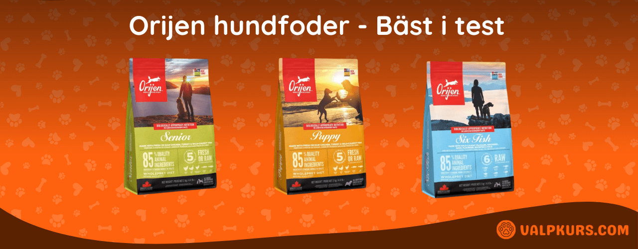 Orijen hundfoder Bäst i test