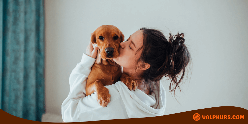 Ung kvinna kramar sin hund, illustrerar kärlek och omvårdnad för tikar under löpperiod.